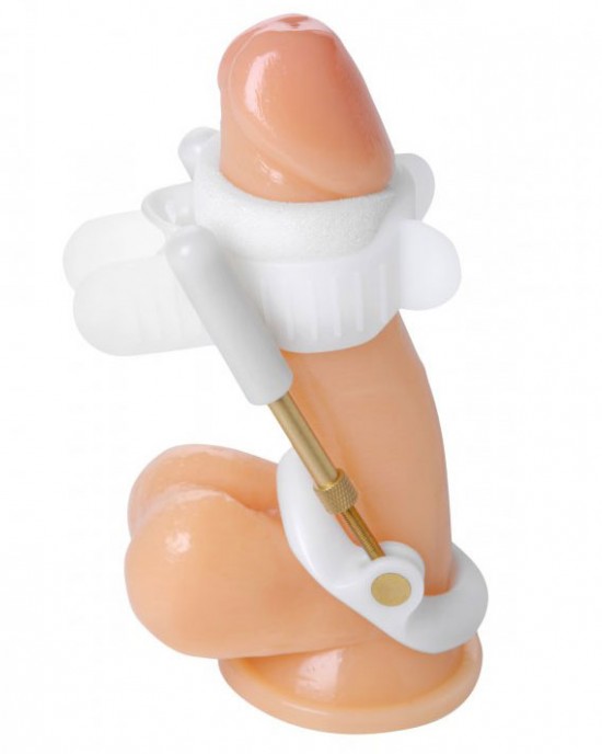 Size Matters Deluxe Penile Aid System