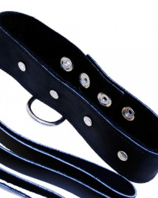 SportSheets Leather Leash And Collar