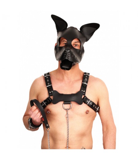 Red Leather Puppy Dog Mask