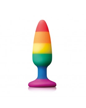 Pride Pleasure Plug Rainbow Medium