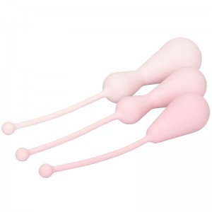 Inspire Weighted Silicone Kegel Training Kit